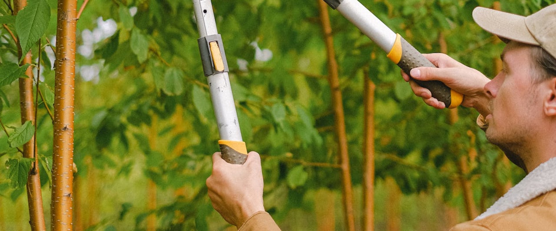 Enhancing Your Outdoor Space: Tree Service And Hardscaping Ideas For Groveland Residents