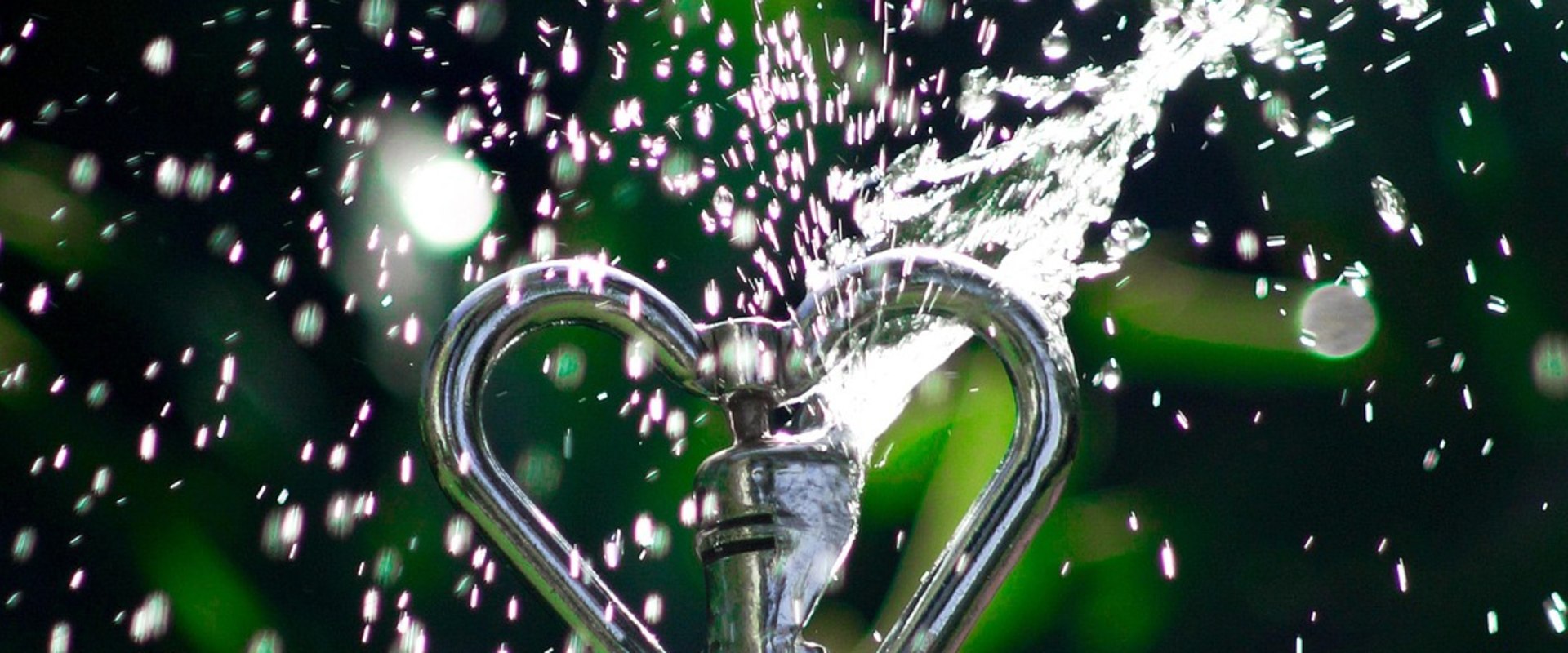 Enhance Your Landscape with Hardscaping and Sprinklers in Sarasota
