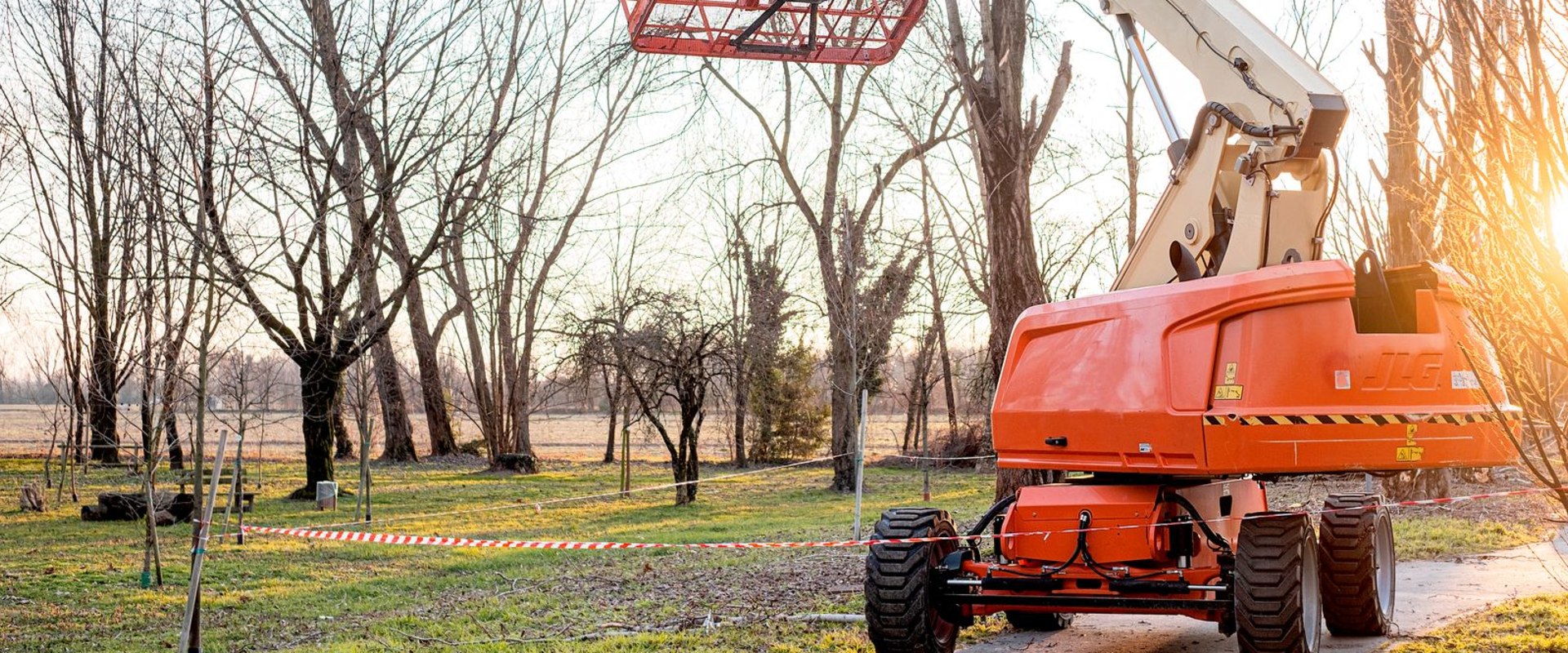 The Importance Of Professional Tree Care In Pembroke Pines And Incorporating Hardscaping In Your Property