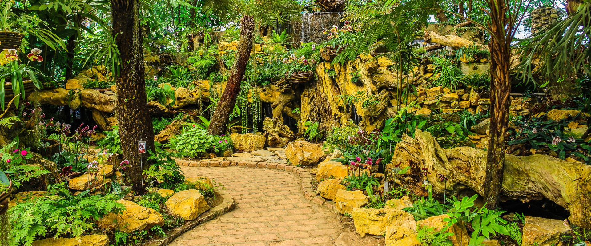 Transforming Lubbock Yards: From Tree Cutting To Stunning Hardscapes