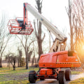 The Importance Of Professional Tree Care In Pembroke Pines And Incorporating Hardscaping In Your Property