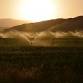 How Does Winterize Sprinkler System Service Help Preserve Hardscaping Elements In Dulles, VA