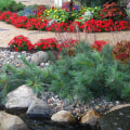 What are examples of hardscapes?