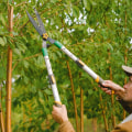 Scottsdale's Tree Trimming And Hardscaping: Enhancing Your Property's Value And Beauty