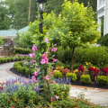 Balance And Beauty: The Perfect Pairing Of Hardscaping And Trees In Leesburg