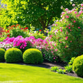 Integrating Rodent Control And Hardscaping In Fayetteville: Budget-Friendly Tips For Homeowners