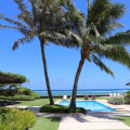 Enhancing Your Hardscaping Projects With Expert Tree Services In Honolulu