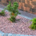 Is rock considered hardscape?