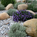 What do you use for hardscaping?