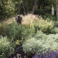 How can i save money on hardscaping?
