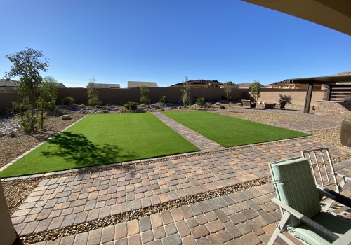 Desert-Ready Hardscaping: Why Insect Control Companies In Las Vegas Are Essential