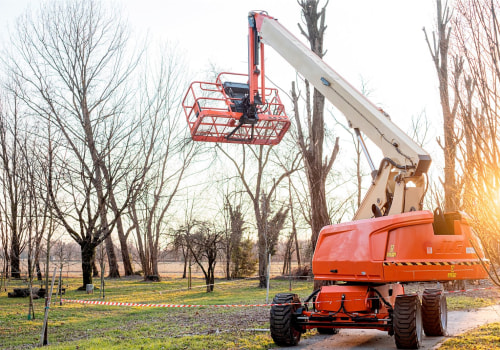 The Importance Of Professional Tree Care In Pembroke Pines And Incorporating Hardscaping In Your Property