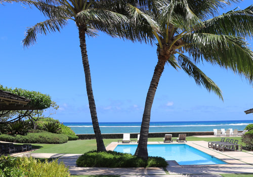 Enhancing Your Hardscaping Projects With Expert Tree Services In Honolulu
