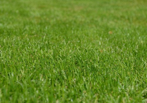 Lawn Care in Oregon: Improving Outdoor Spaces with Hardscaping and Reliable Maintenance