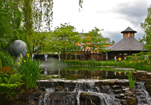 Martinsburg's Green Revolution: How Landscape Maintenance And Tree Care Services Shape Hardscaping
